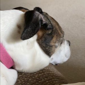 Meet your Posher, Teresa